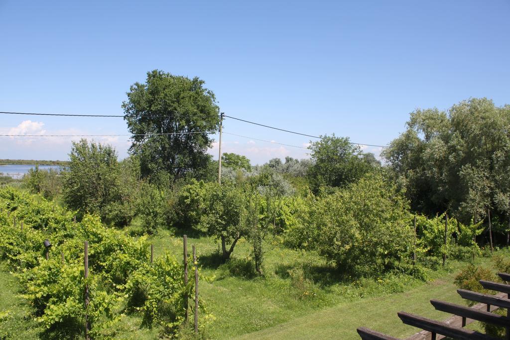 Apartment Tenuta Lio Maggiore