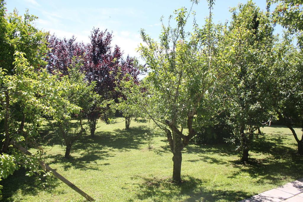 Apartment Tenuta Lio Maggiore *
