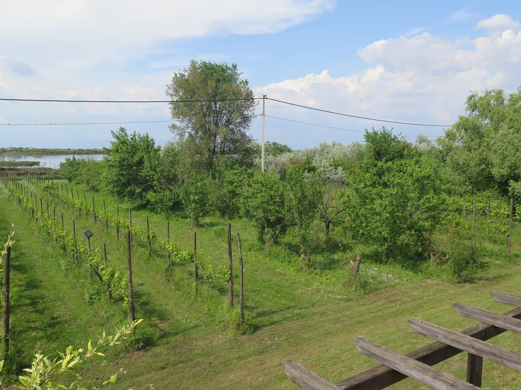 Apartment Tenuta Lio Maggiore